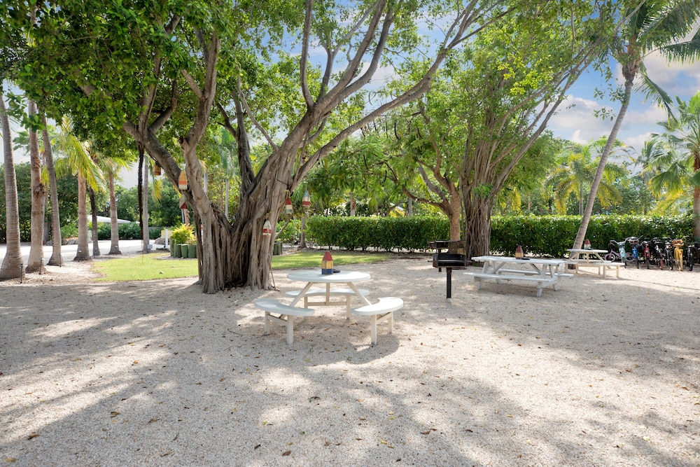 Atlantic Bay Resort 34/50