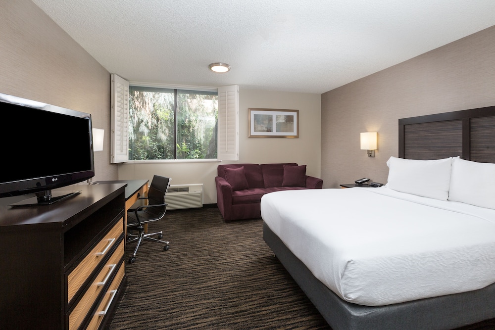 Holiday Inn Dublin Pleasanton 19/70