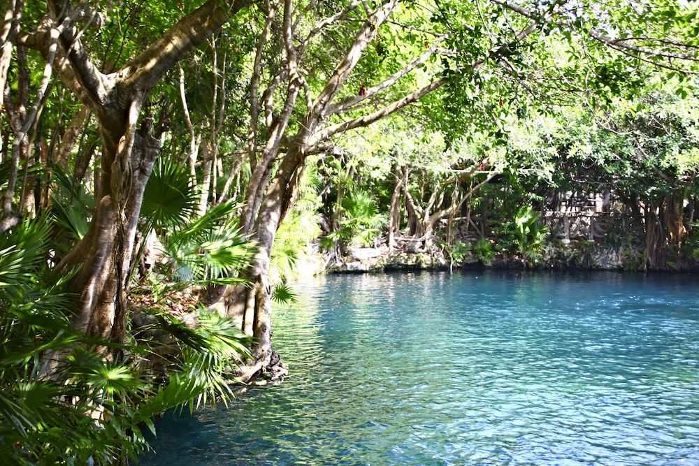 Sandos Caracol Nature Resort & Water Park All Inclusive 59/62