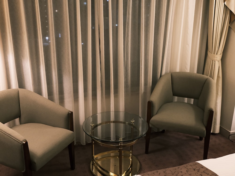 Kurashiki Royal Art Hotel 32/50