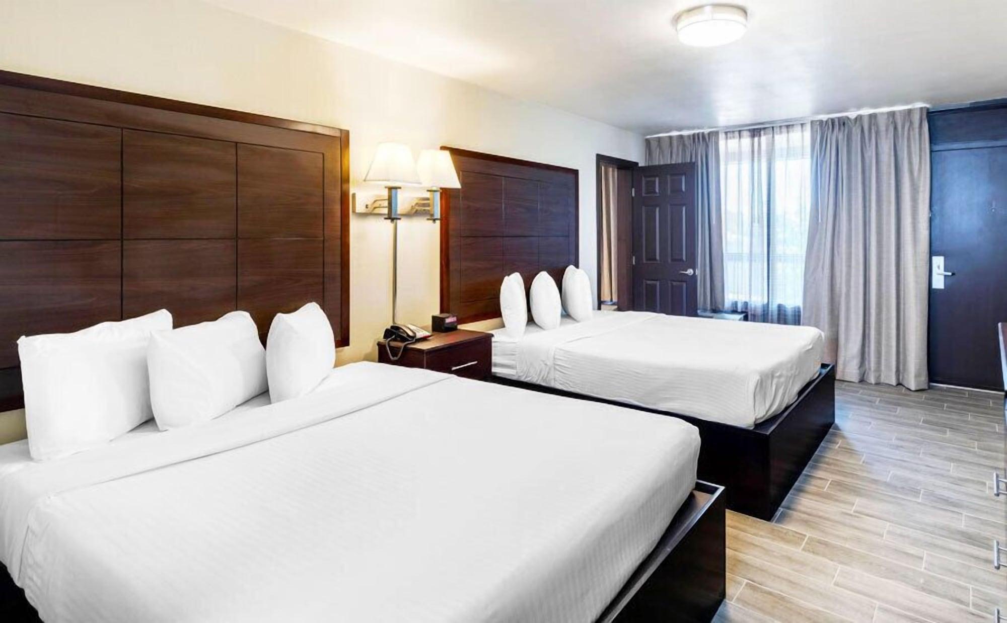 Suite, Multiple Beds