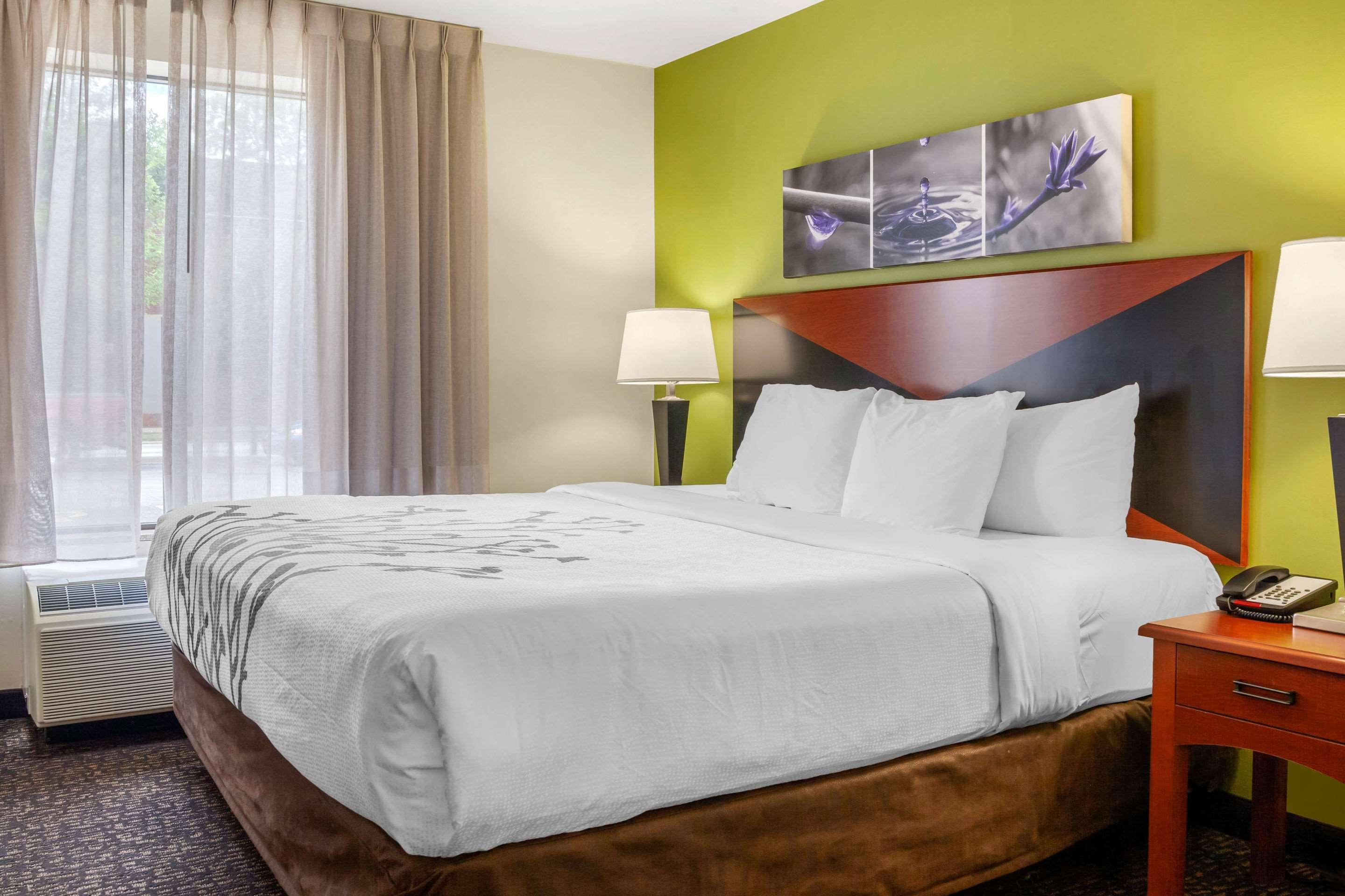 SUITE, KING BED