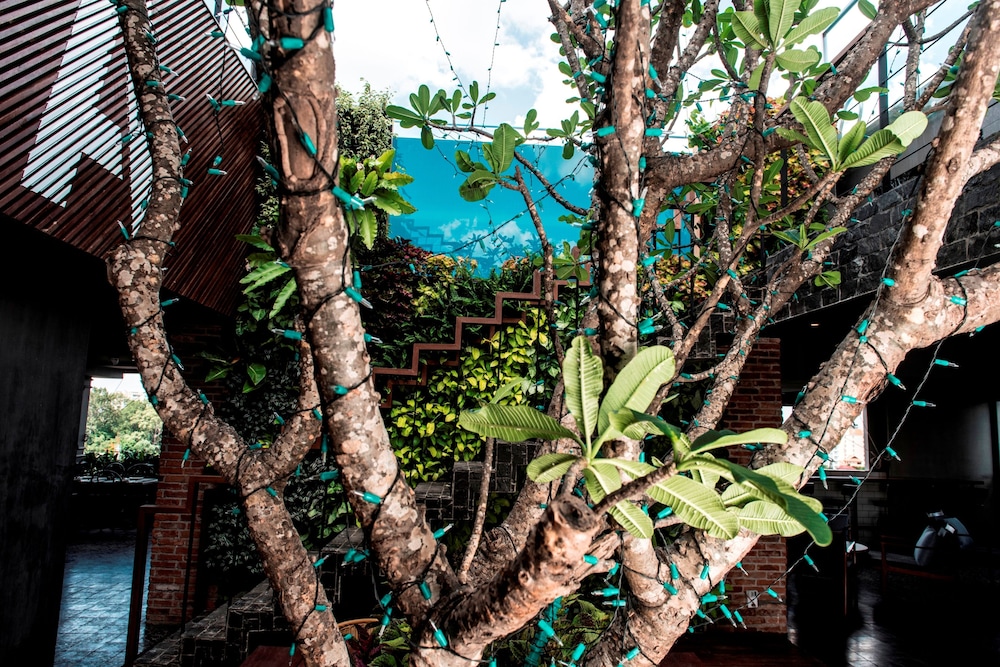 Aquarius Hotel Urban Resort Phnom Penh 61/66