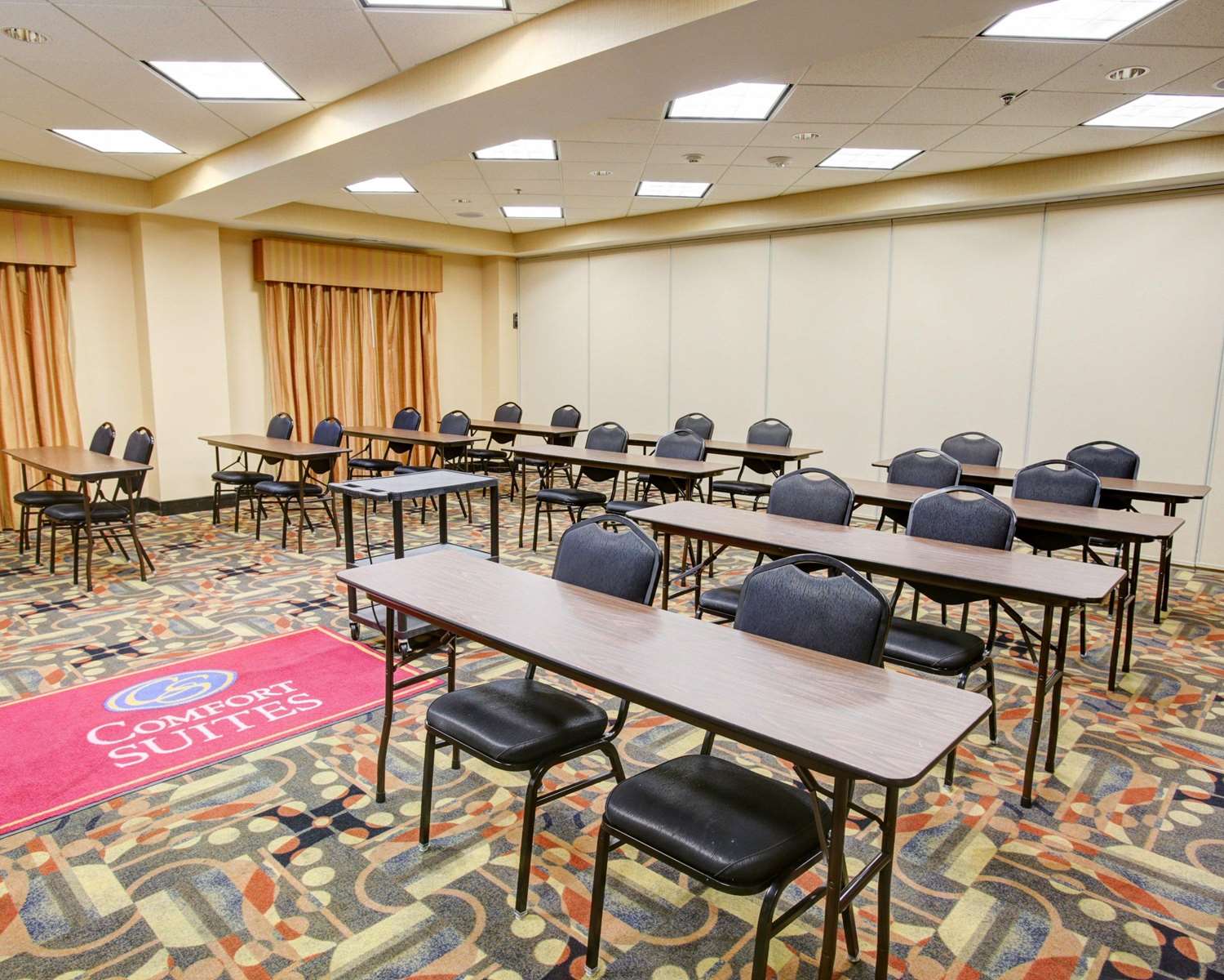 Comfort Suites Buda - Austin South 14/17