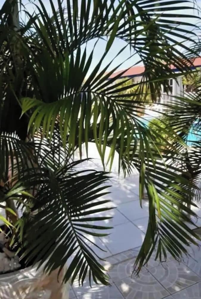 Aruba Harmony Apartments 50/59