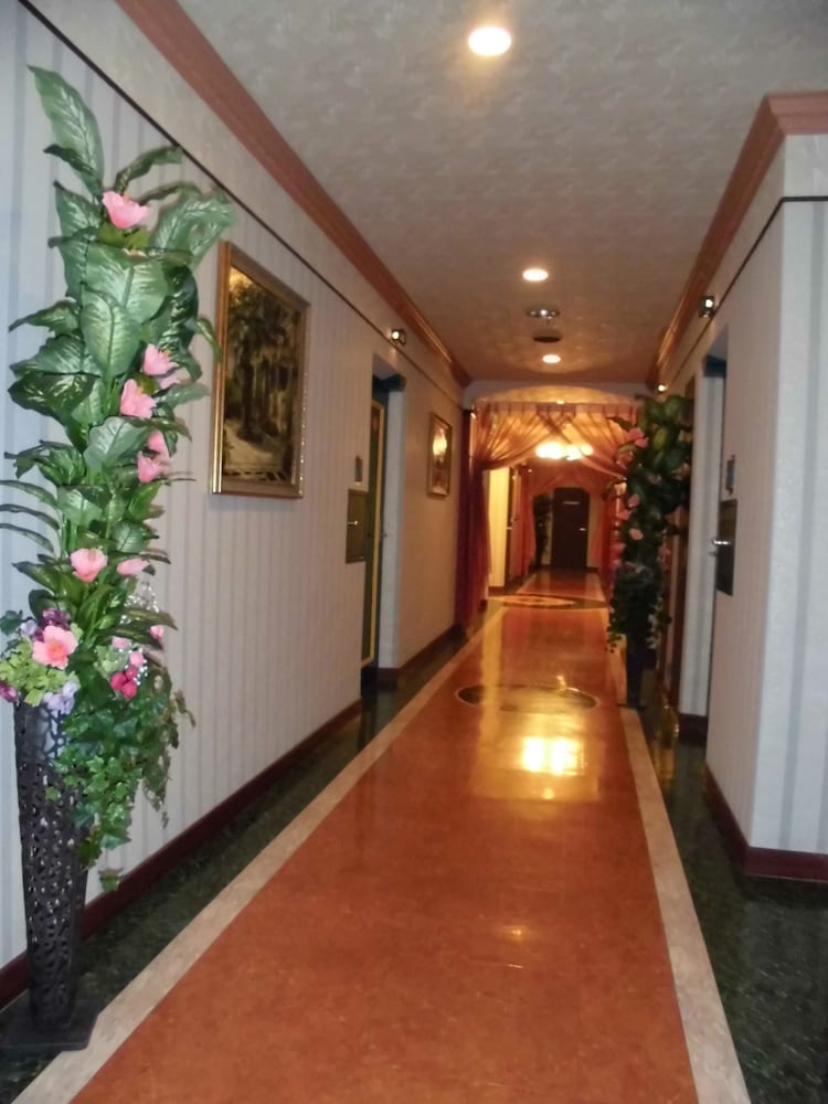 Hotel D.D 13/37