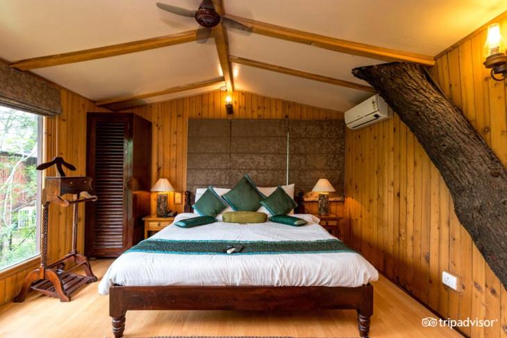 Room at The Tree House Resort, Amer