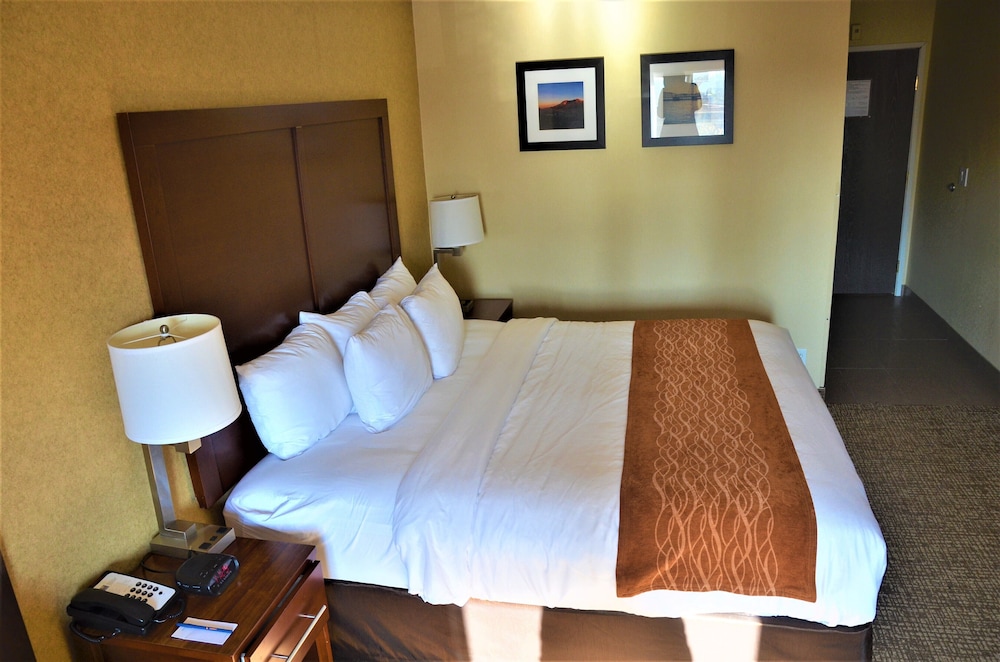 Comfort Inn & Suites Vancouver Downtown City Center 17/48