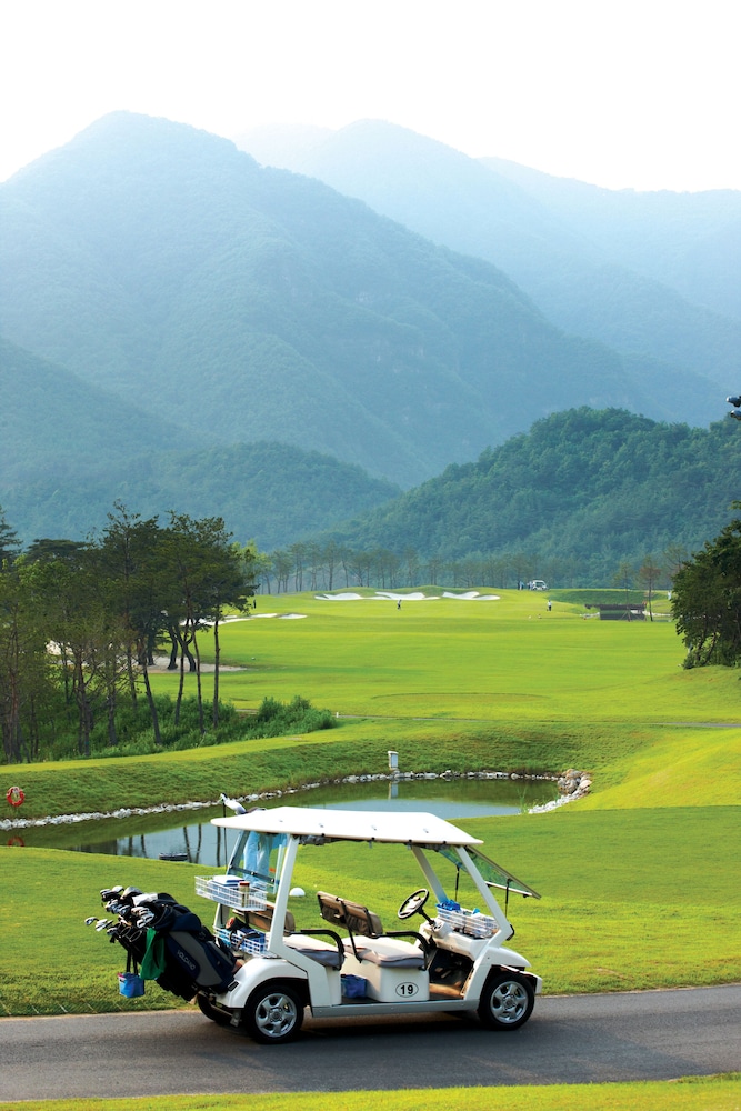 Tops 10 Resort Donggang Cistar 36/48