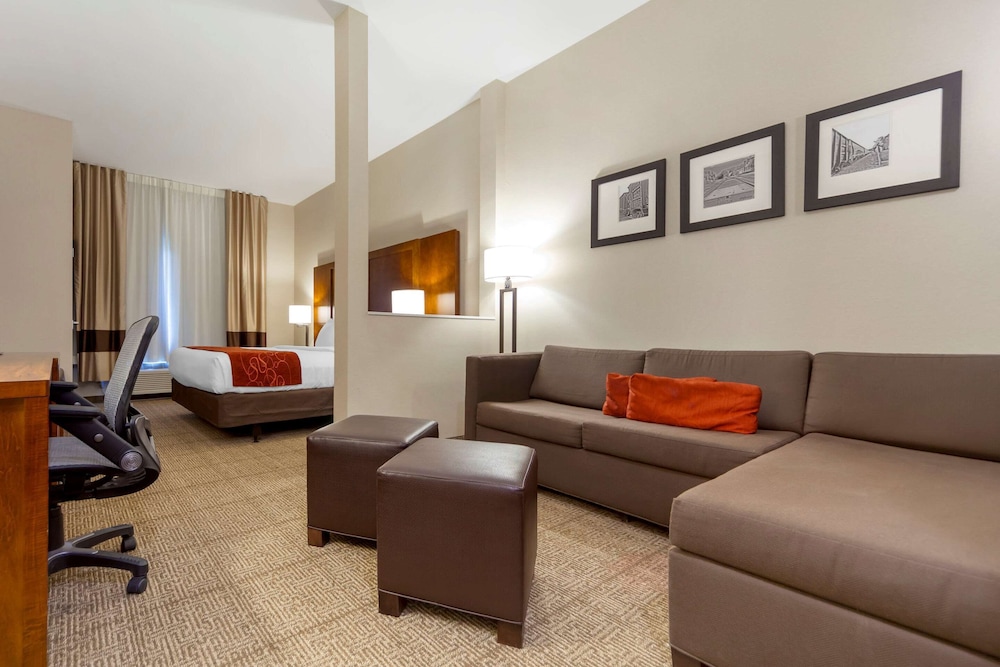 Comfort Suites La Vista - Omaha 33/44