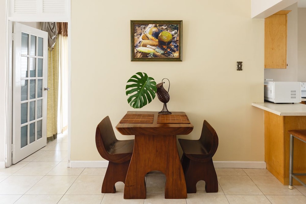 New Kingston Guest Apartment Vii 5/32