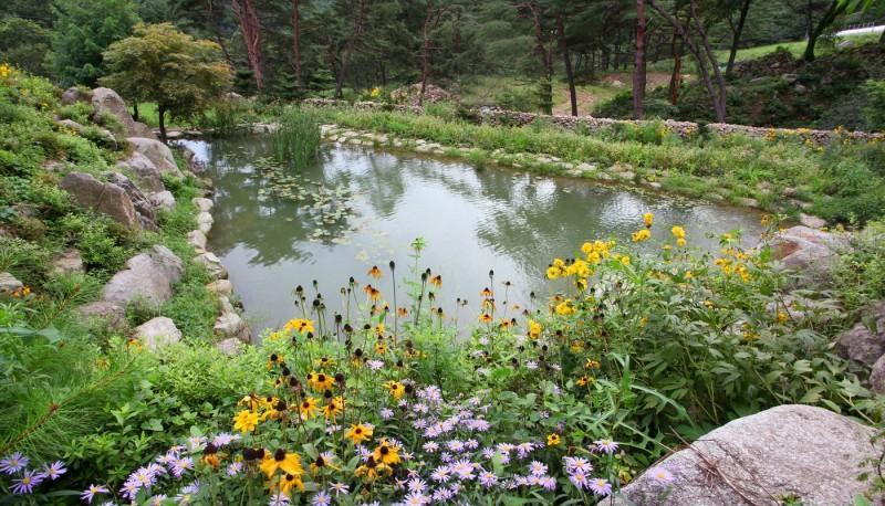Hongcheon Yongso Valley Pension & Camping 7/11