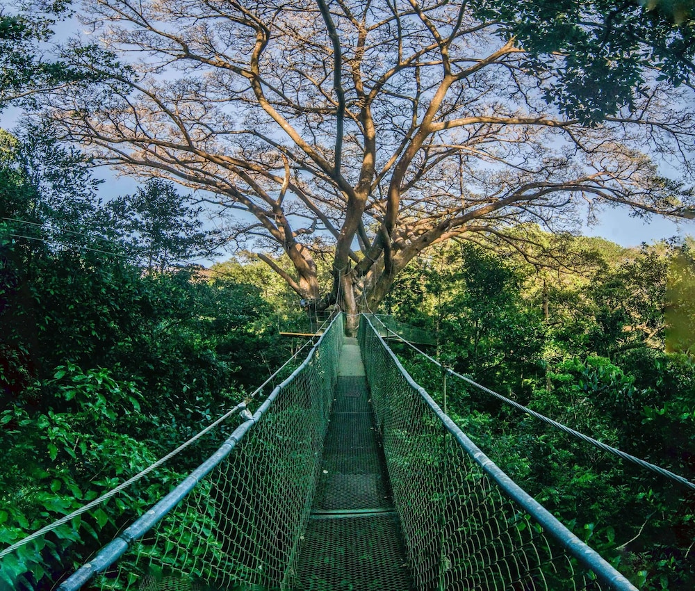 Buena Vista Del Rincon Eco Adventure Park, Hotel & Spa 53/66