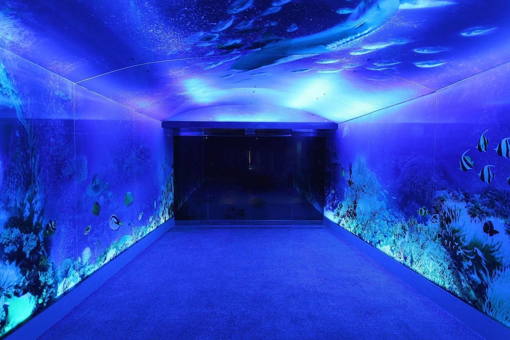 Clownfish Resort 33/64