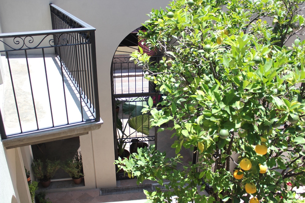 Hotel Mama Carlota 40/43