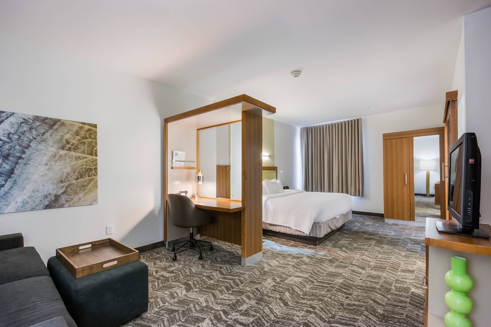 SpringHill Suites by Marriott Enid 26/37