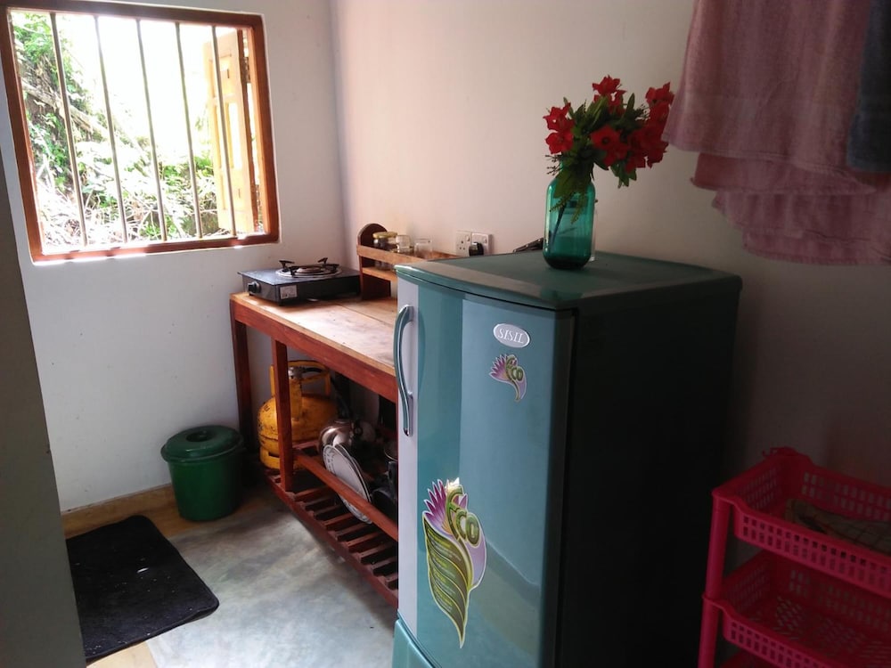 The Jungle House 5/50