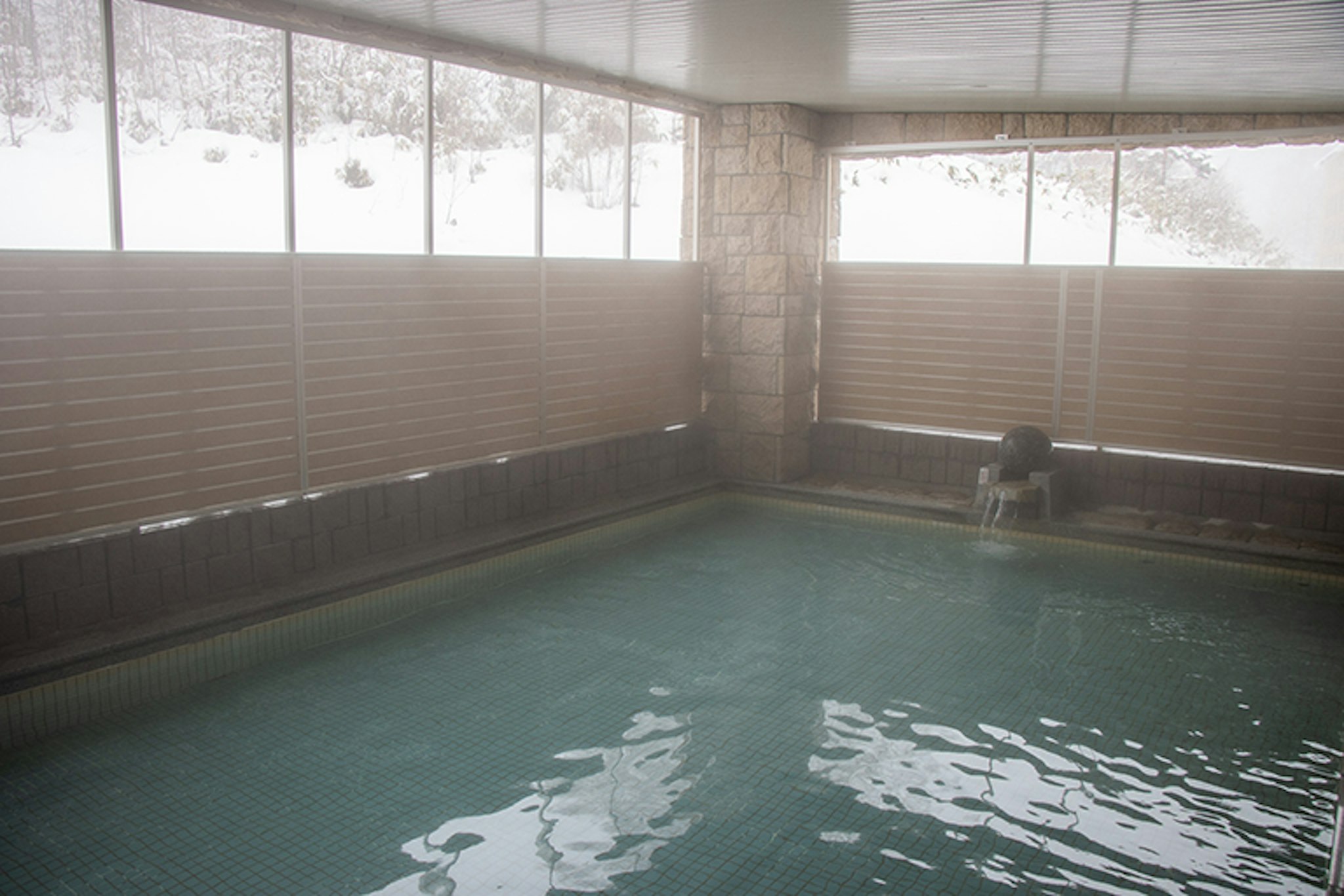 Shiga Kogen Prince Hotel 20/50