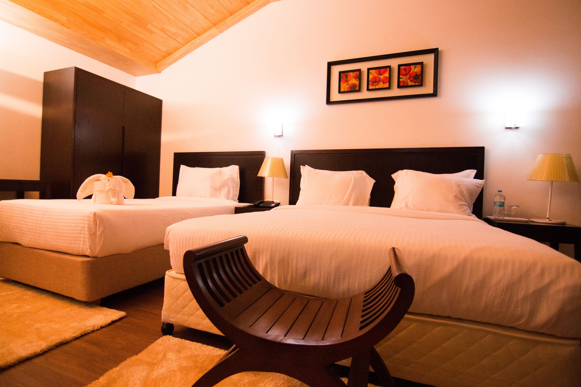 Executive, 1 Double and 1 Single Bed