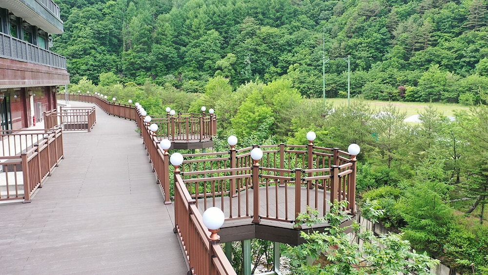 Taebaek Hotel 21/24