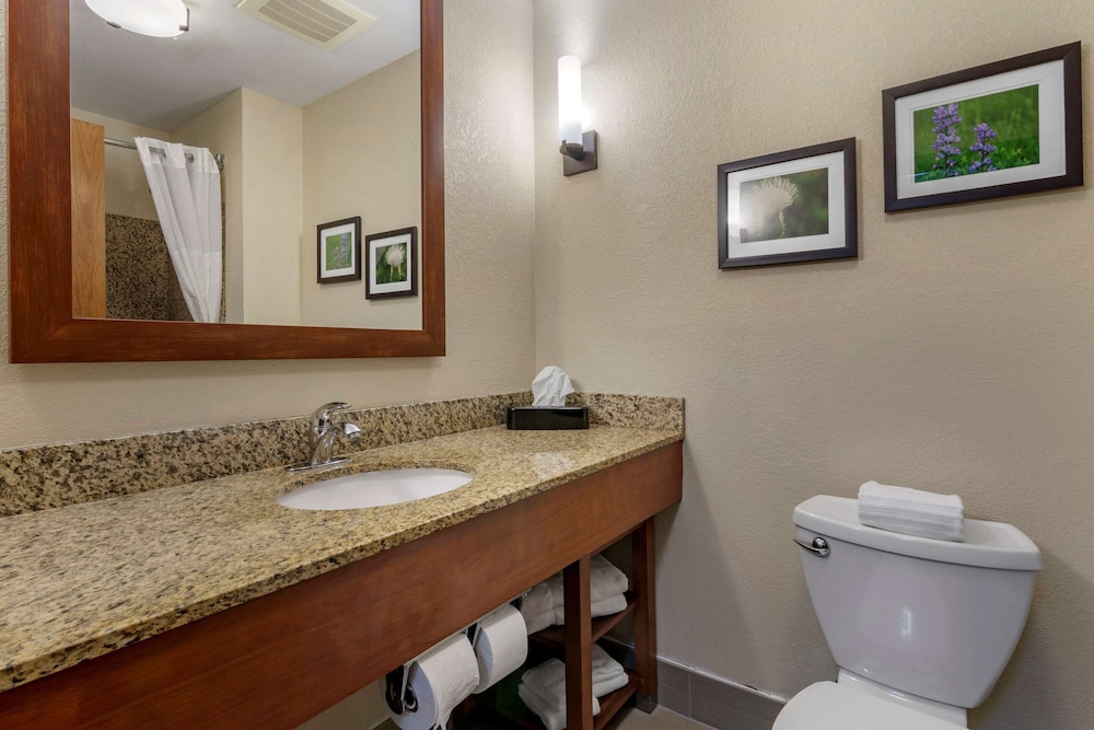 Comfort Suites Manhattan 20/43