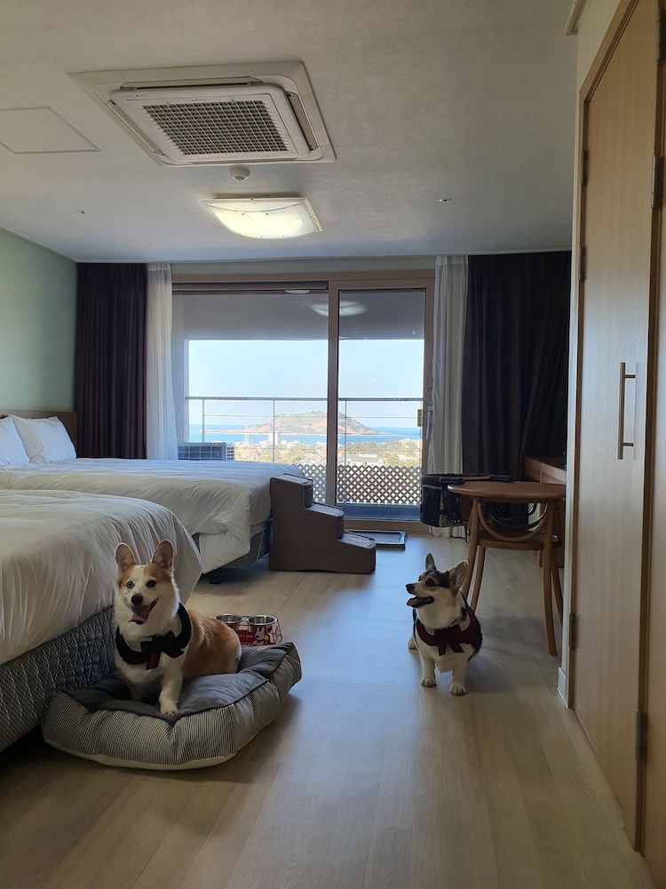 Hi Jeju Hotel 15/50