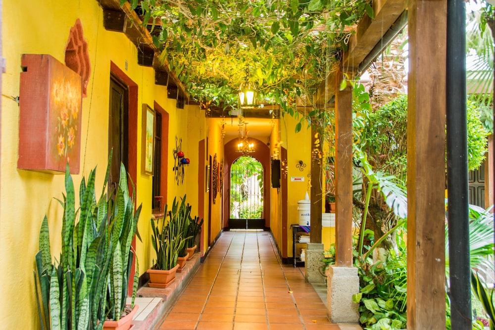 Hotel Casa Antigua 50/50