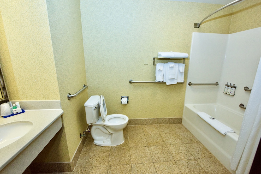 Holiday Inn Express Suites St Louis West Fenton 65/65
