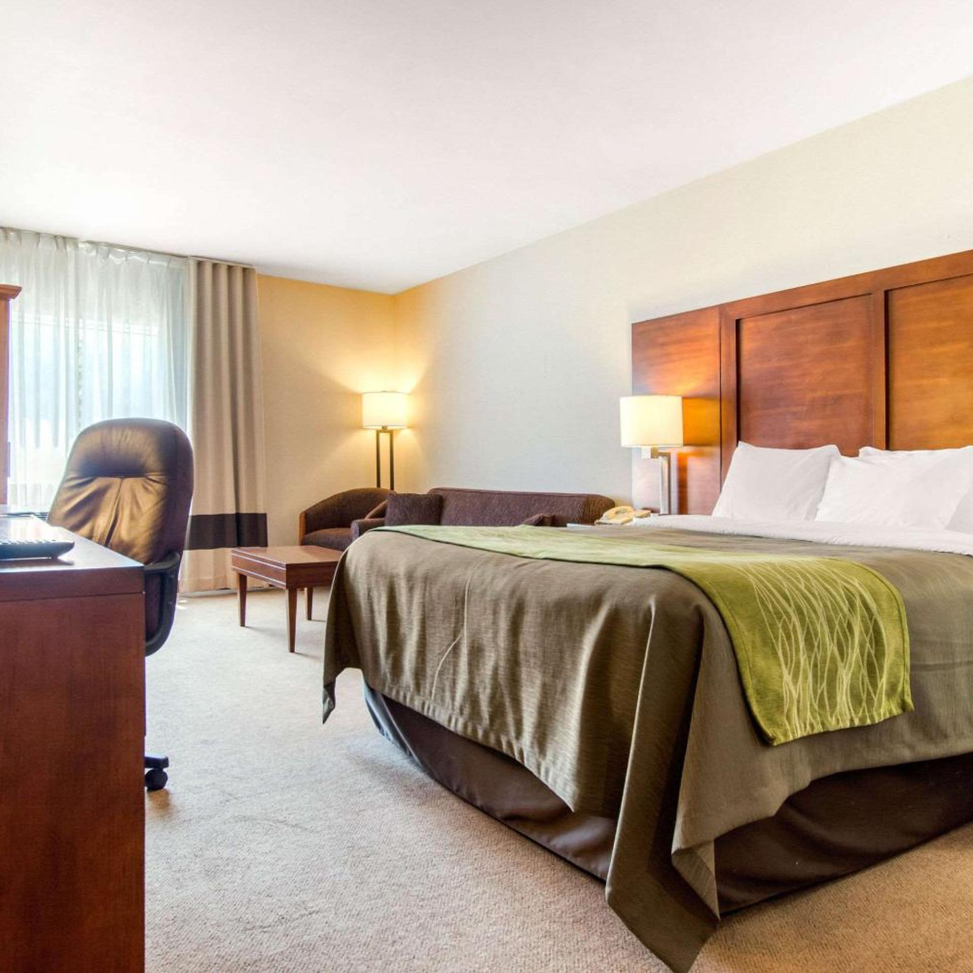 Room, Queen Bed, Sofa
