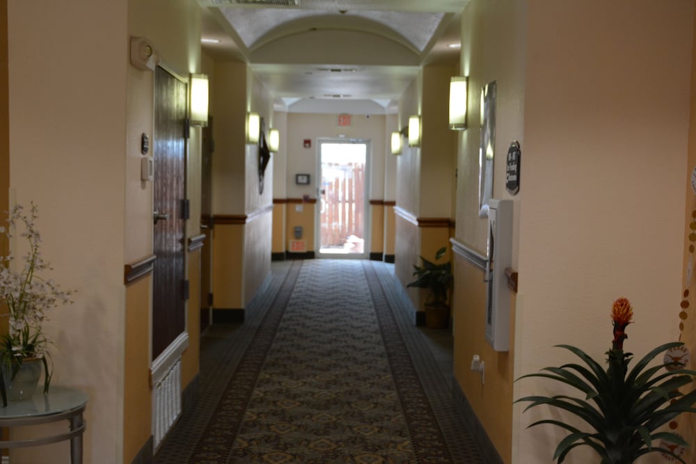 Super 8 By Wyndham Austin/Airport South 14/49