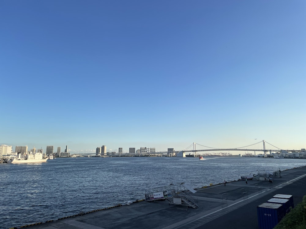 Bayside Hotel Azur Takeshiba 39/43