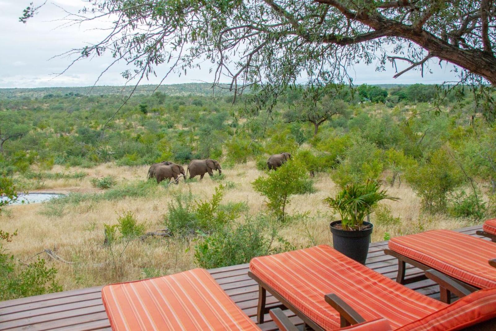 Casart Game Lodge 60/72
