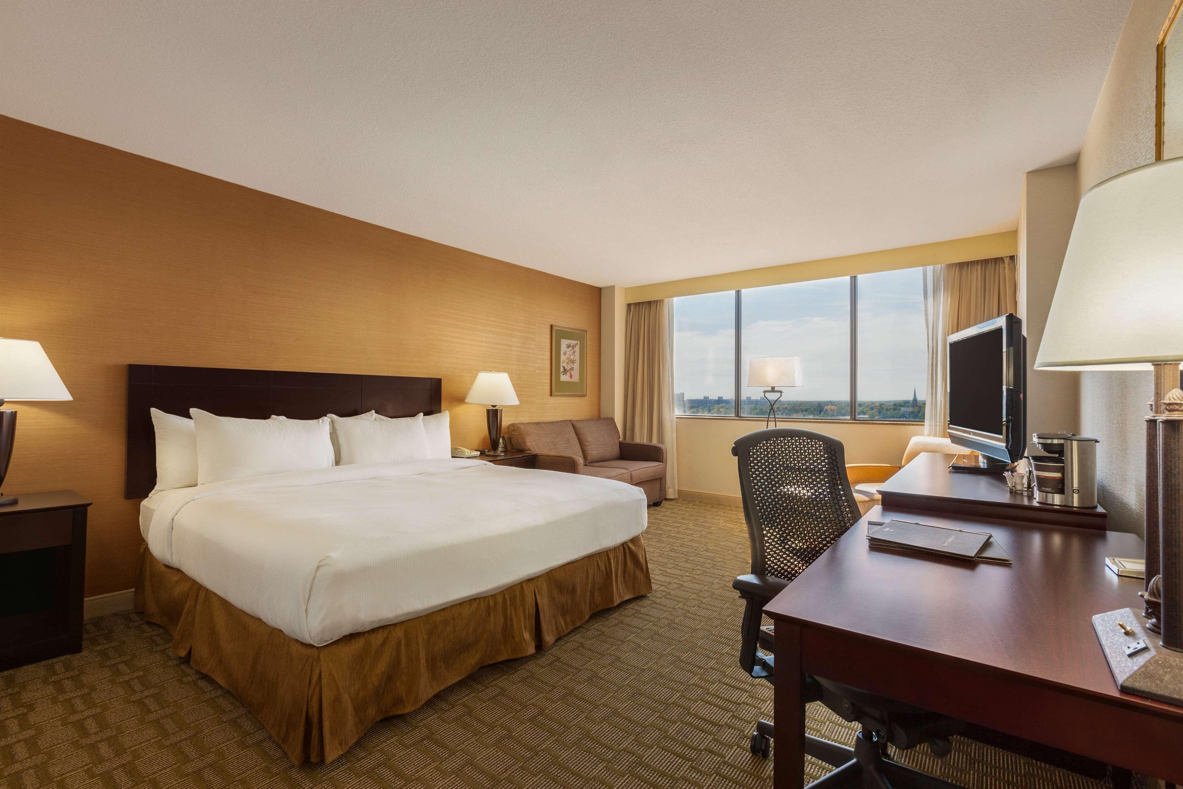 ROOM, SINGLE, KING BED, SOFA