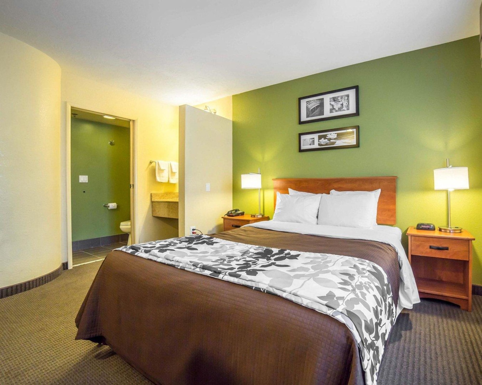 ROOM, QUEEN BED, ACCESSIBLE