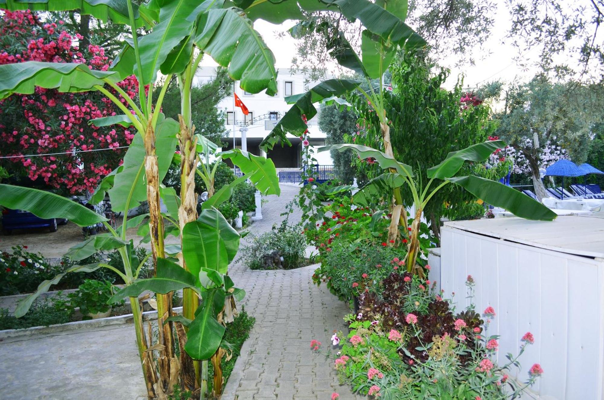 Ali Baba Hotel 48/55