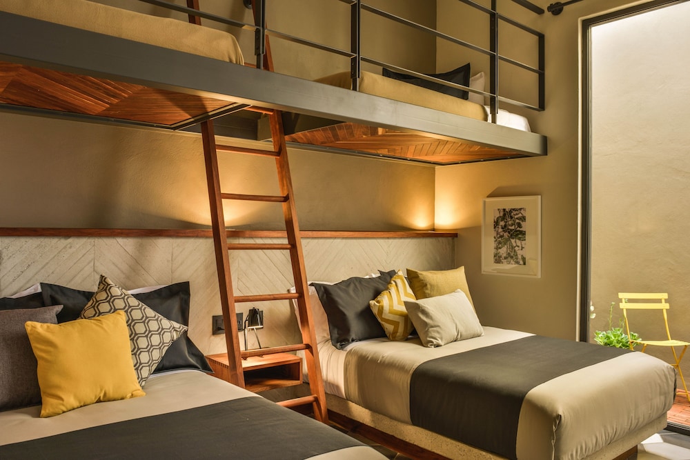 Criol Hotel 23/65
