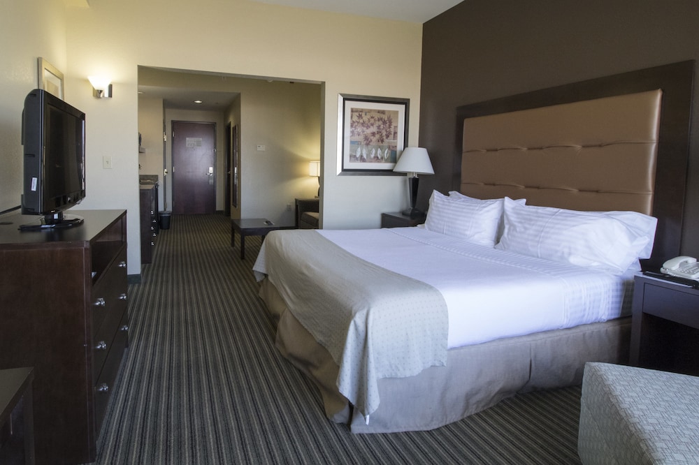 Holiday Inn Pearl - Jackson Area 16/71