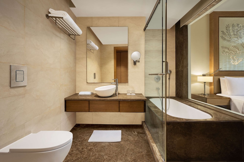 Radisson Blu Hotel, New Delhi Dwarka 49/50