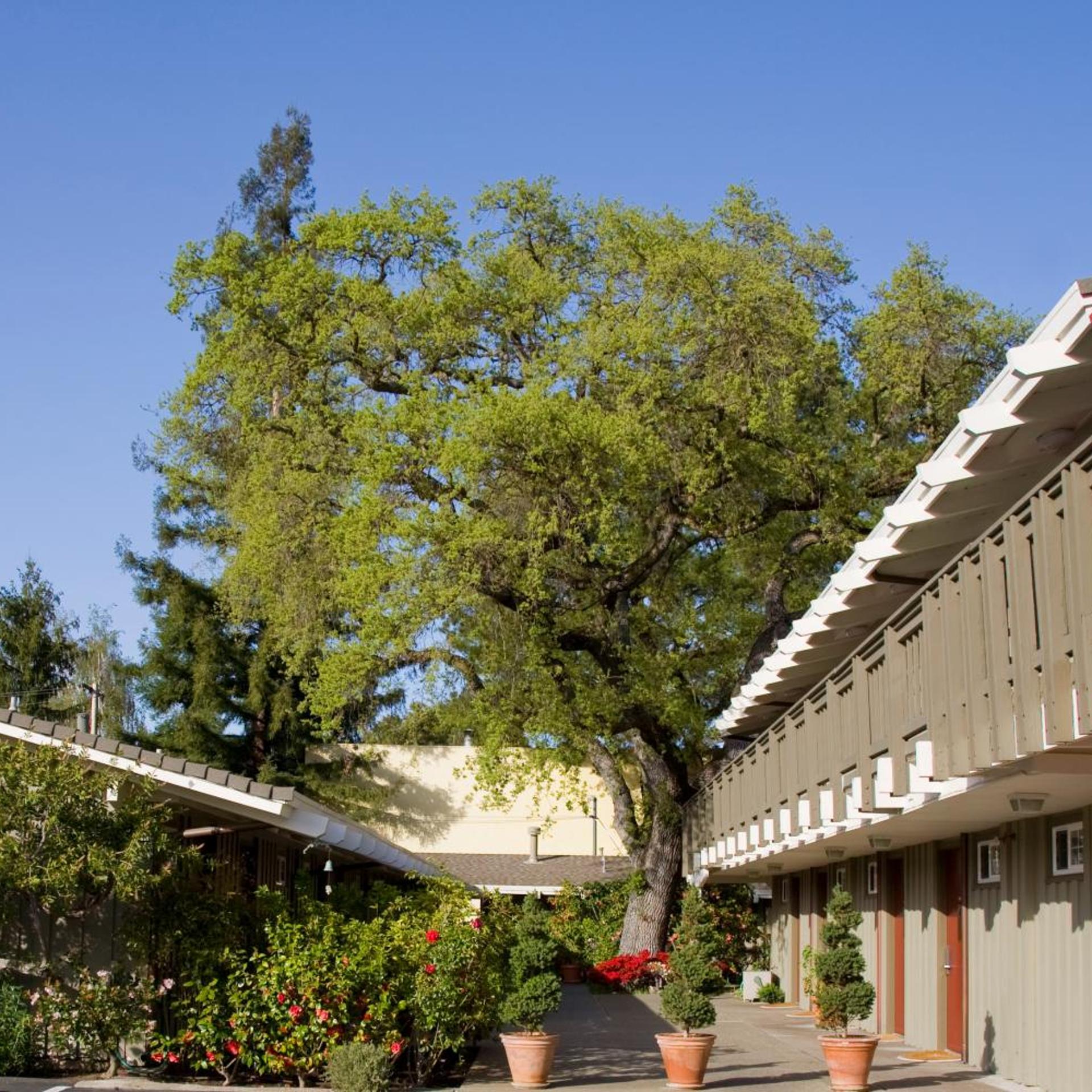 The Cottages Hotel 37/39