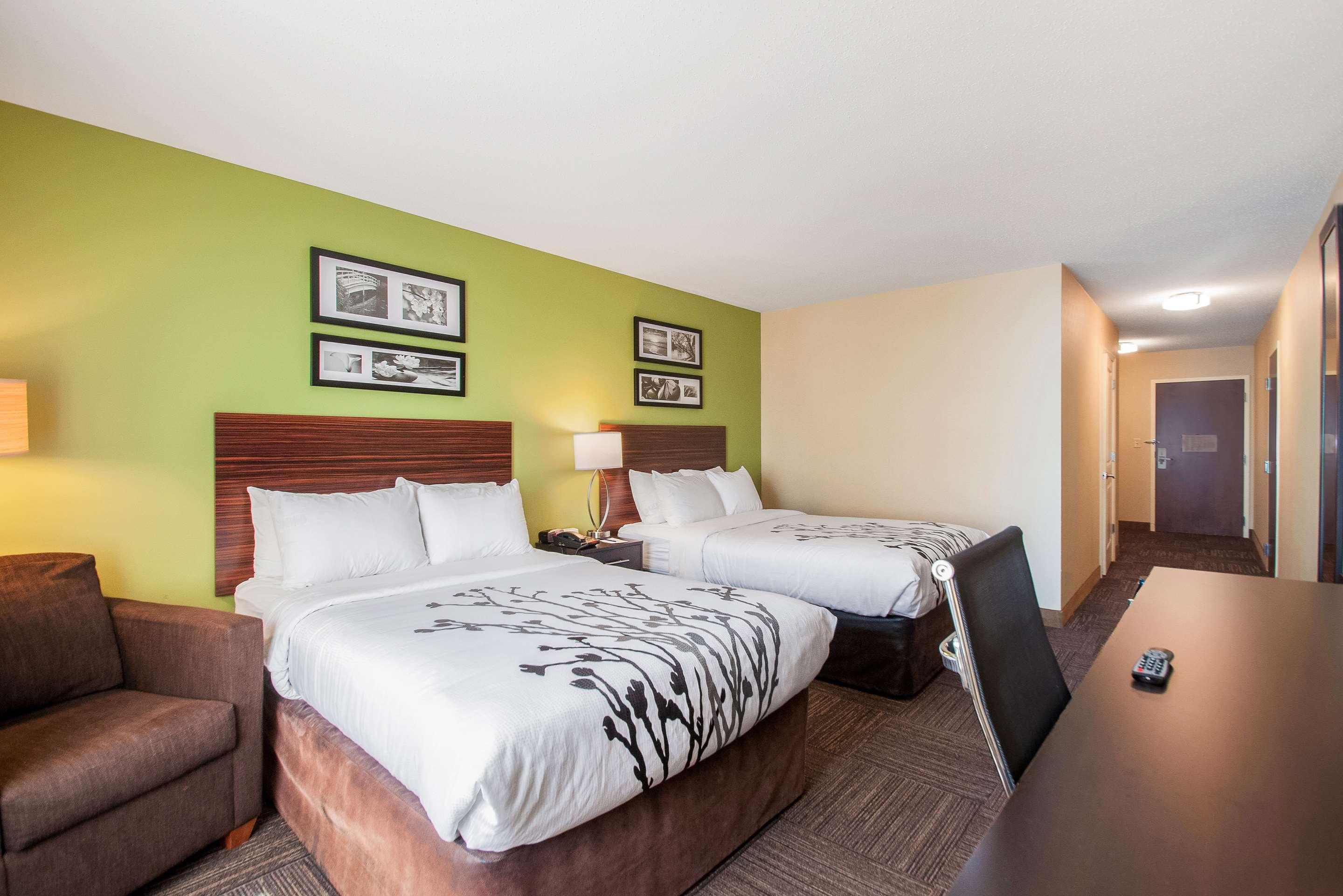 Room, Quadruple, 2 Double Beds, Accessible