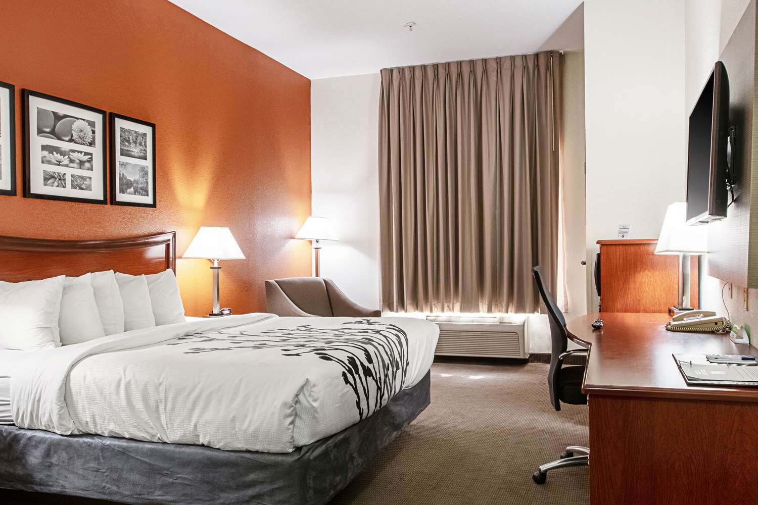 Room, King Bed