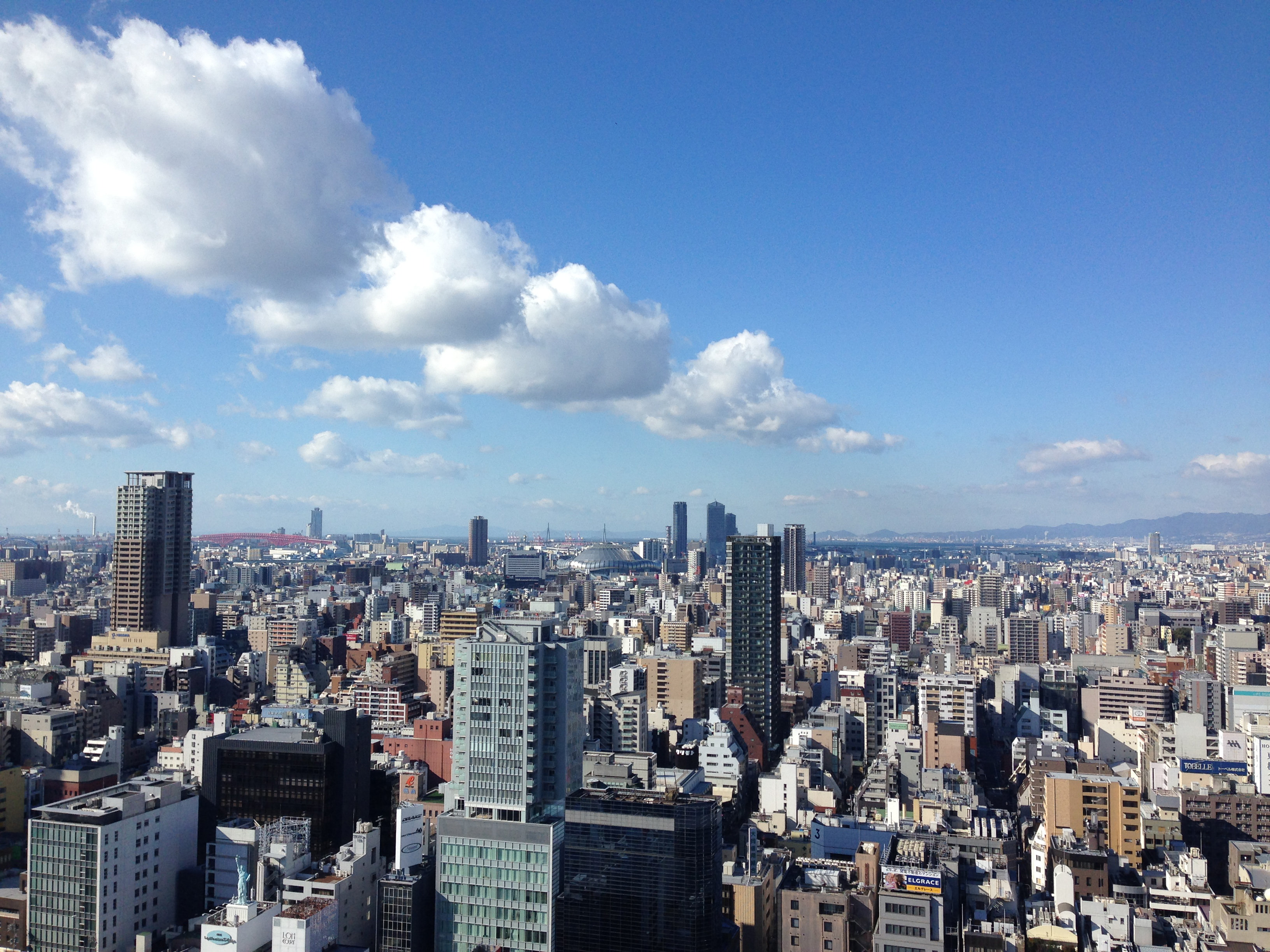 Hotel Nikko Osaka 49/58