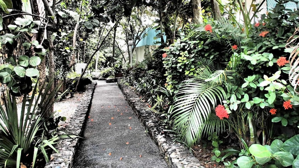 Flamboyan On the Bay Resort And Villas 57/61