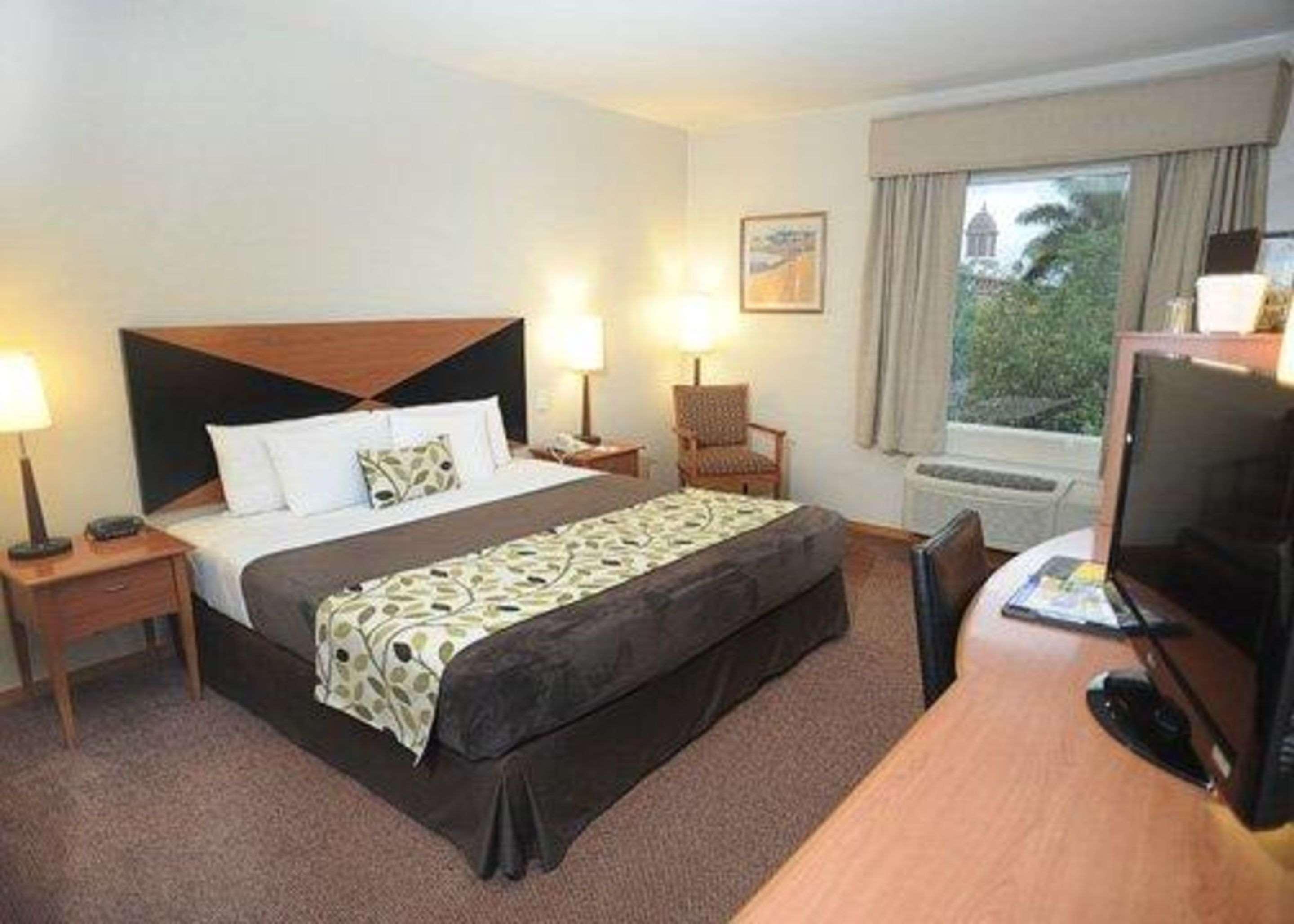 ROOM, KING BED, ACCESSIBLE