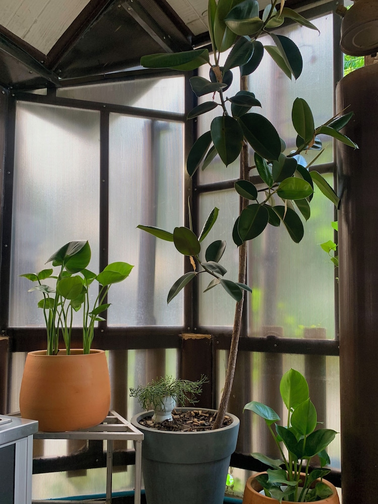 Baan Baramee Guesthouse 7/50
