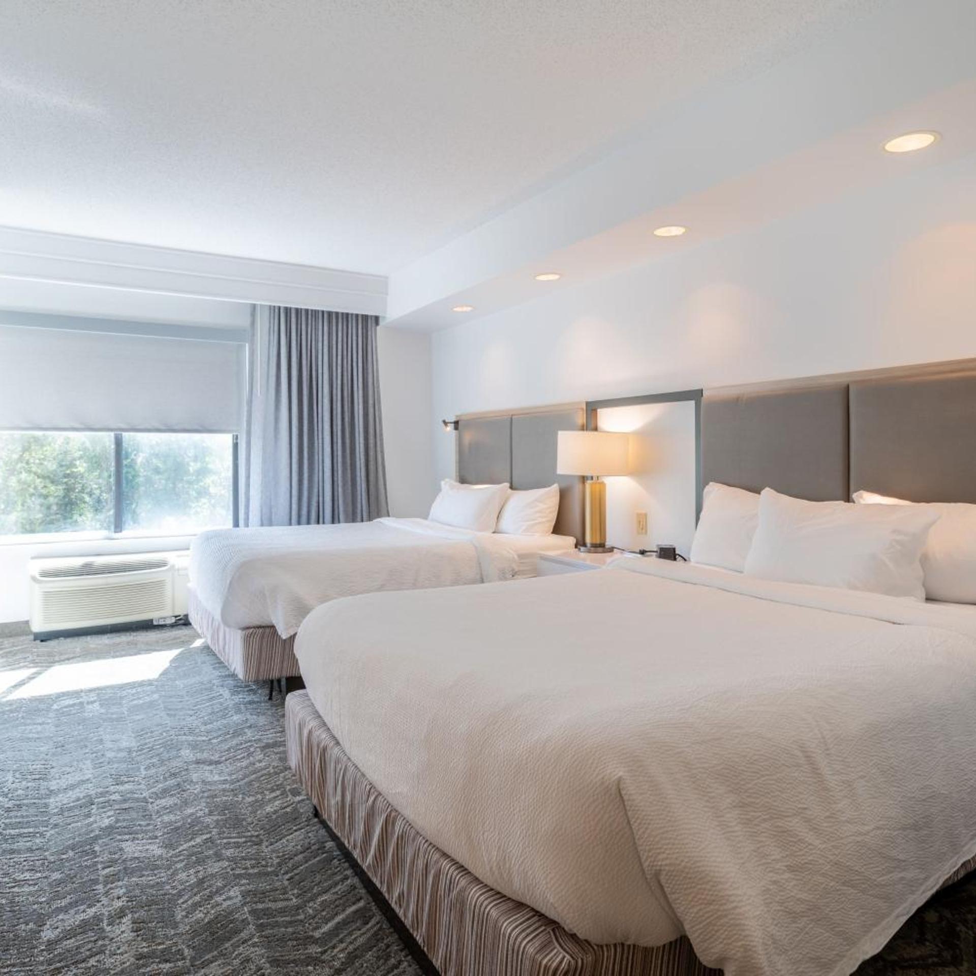 Suite, 2 Queen Beds, Trundle Bed, Sofa