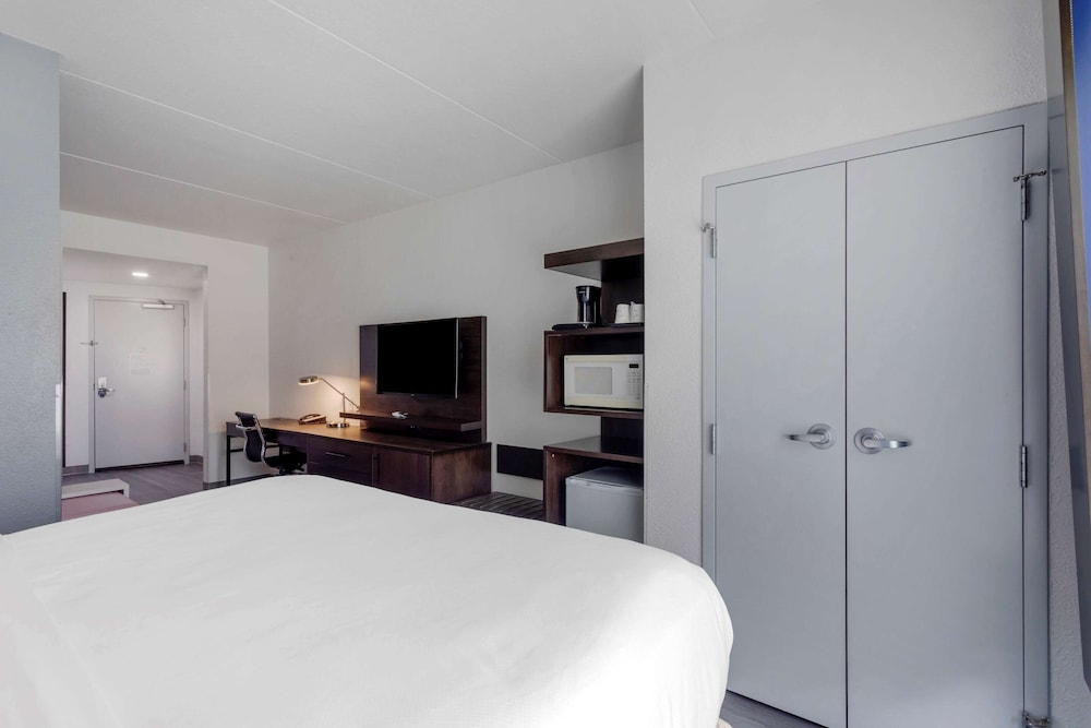 Suite, King Bed, Sofa