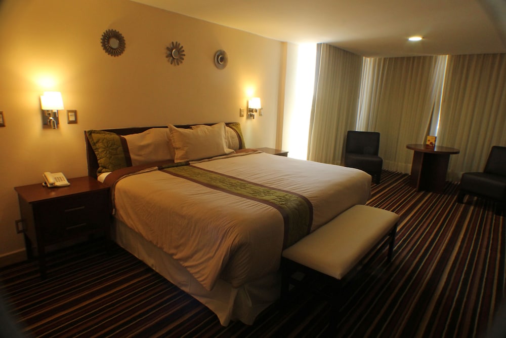Hotel Real Plaza Aguascalientes 23/71