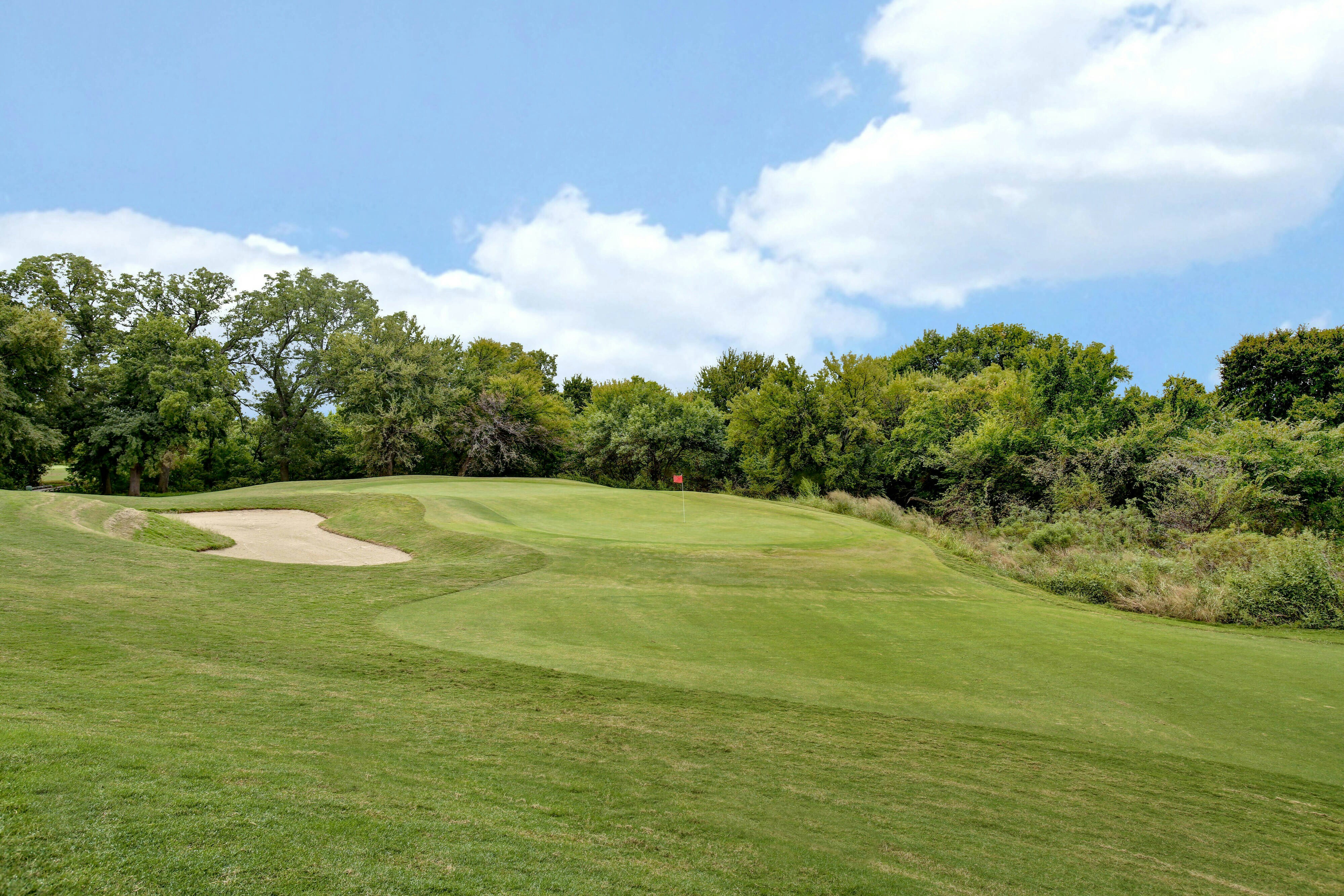 Dallas/Fort Worth Marriott Hotel & Golf Club at Champions Circle 20/33