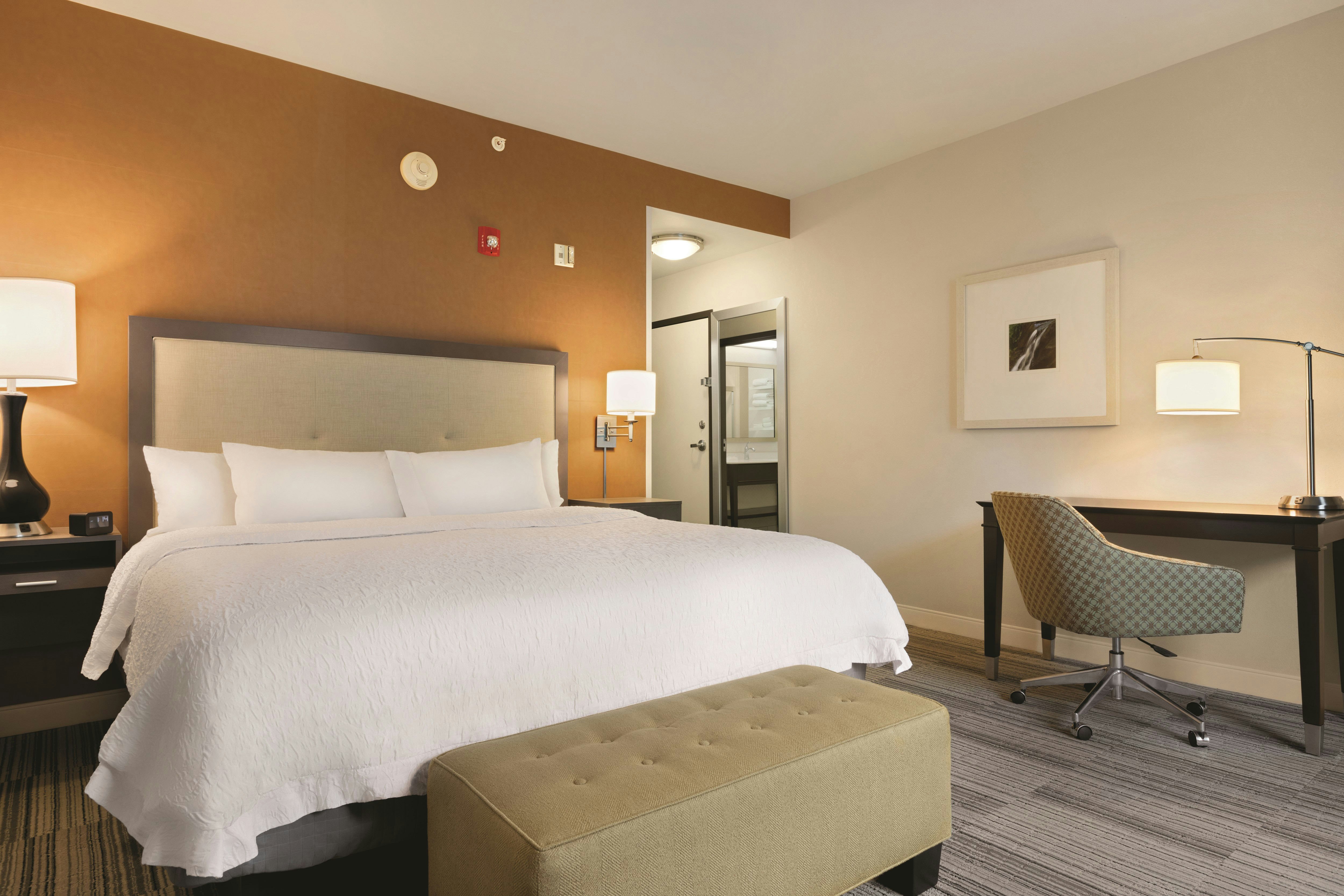 غرفة بسرير كينج لذوي الإعاقة، Hampton Inn And Suites Roanoke-Downtown 5/7